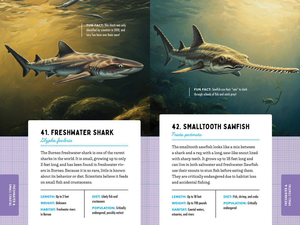 50 Sharks for Kids!