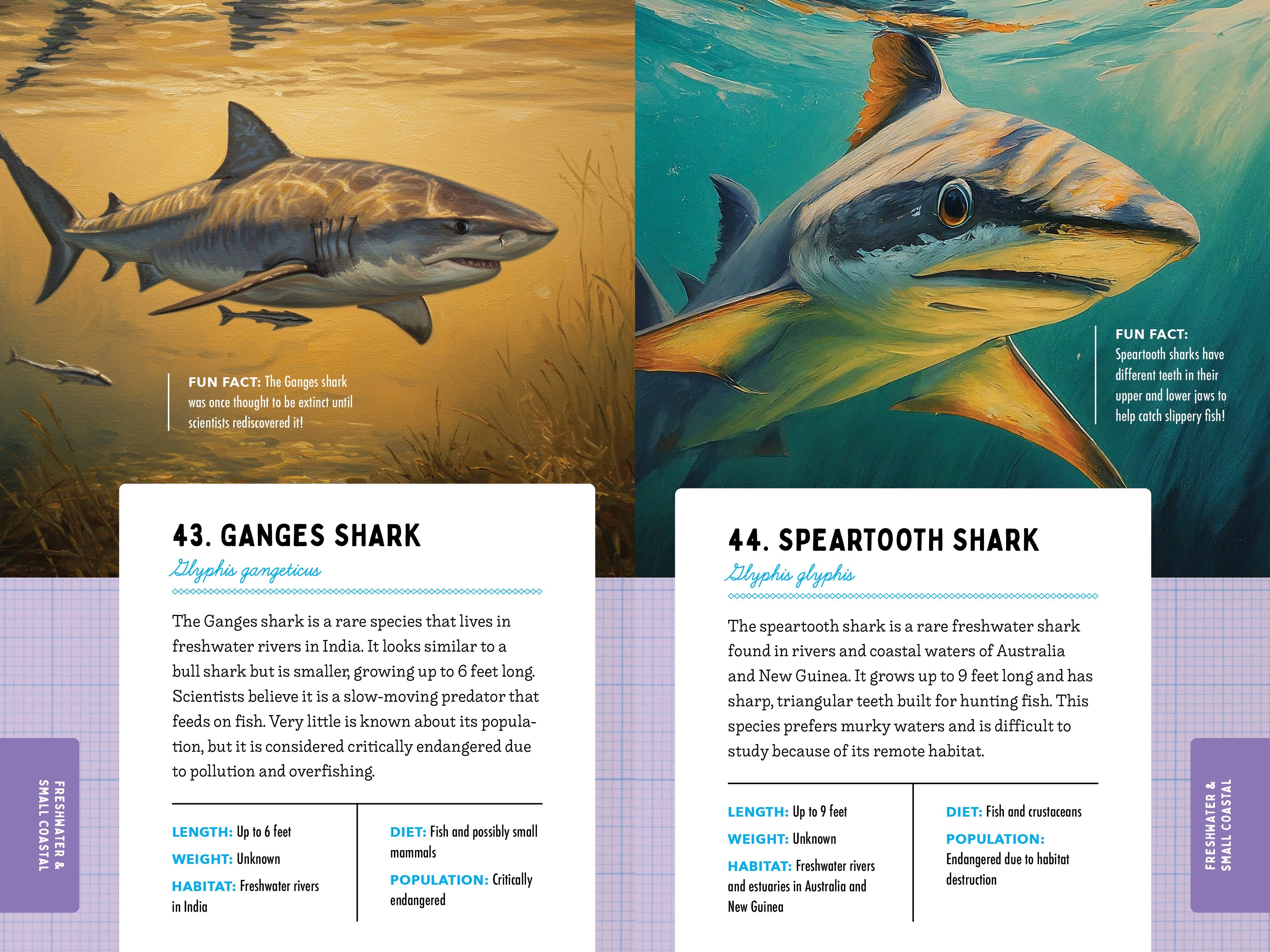 50 Sharks for Kids!