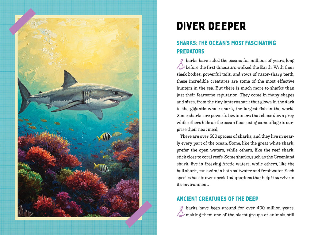 50 Sharks for Kids!