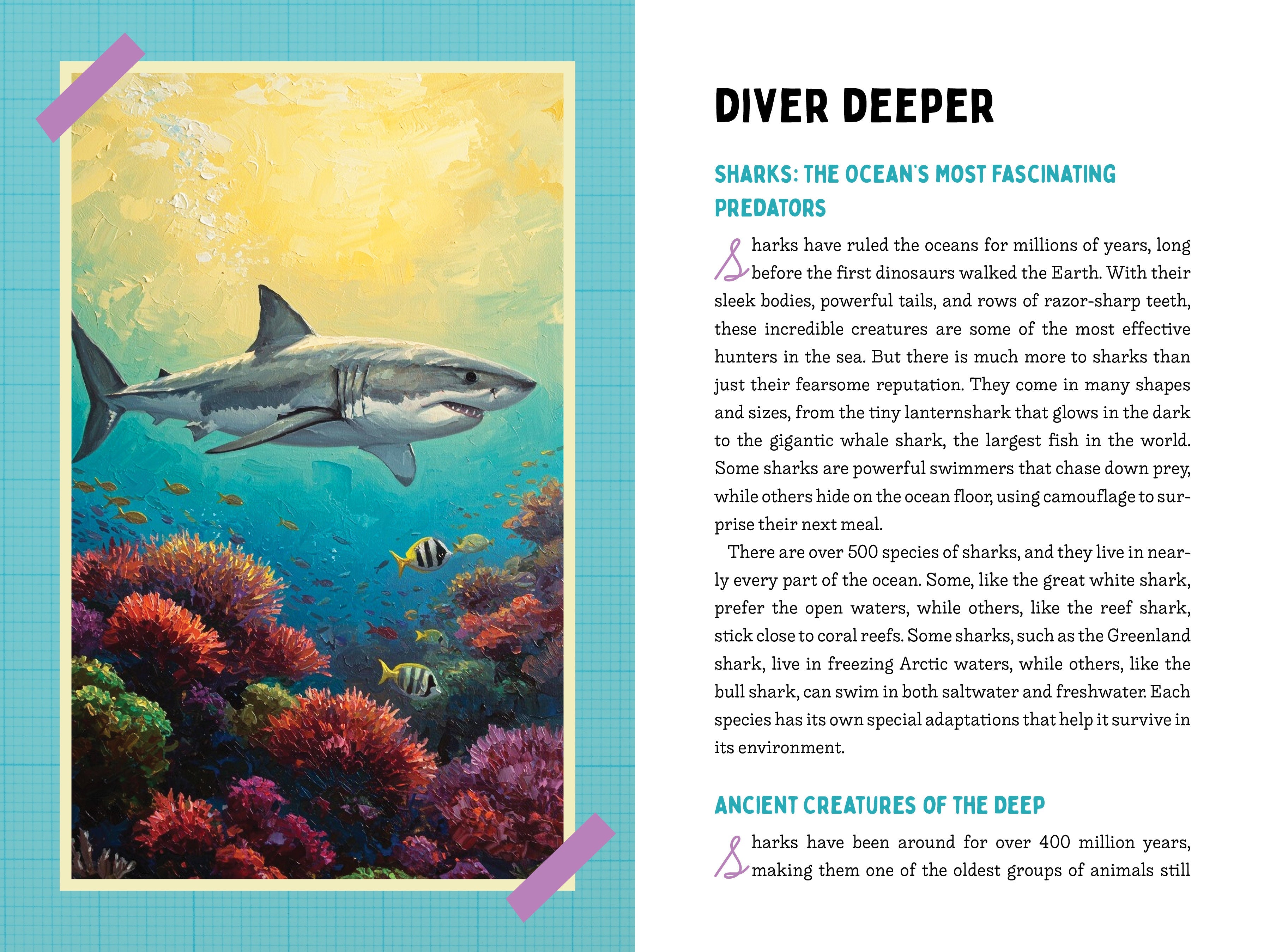 50 Sharks for Kids!