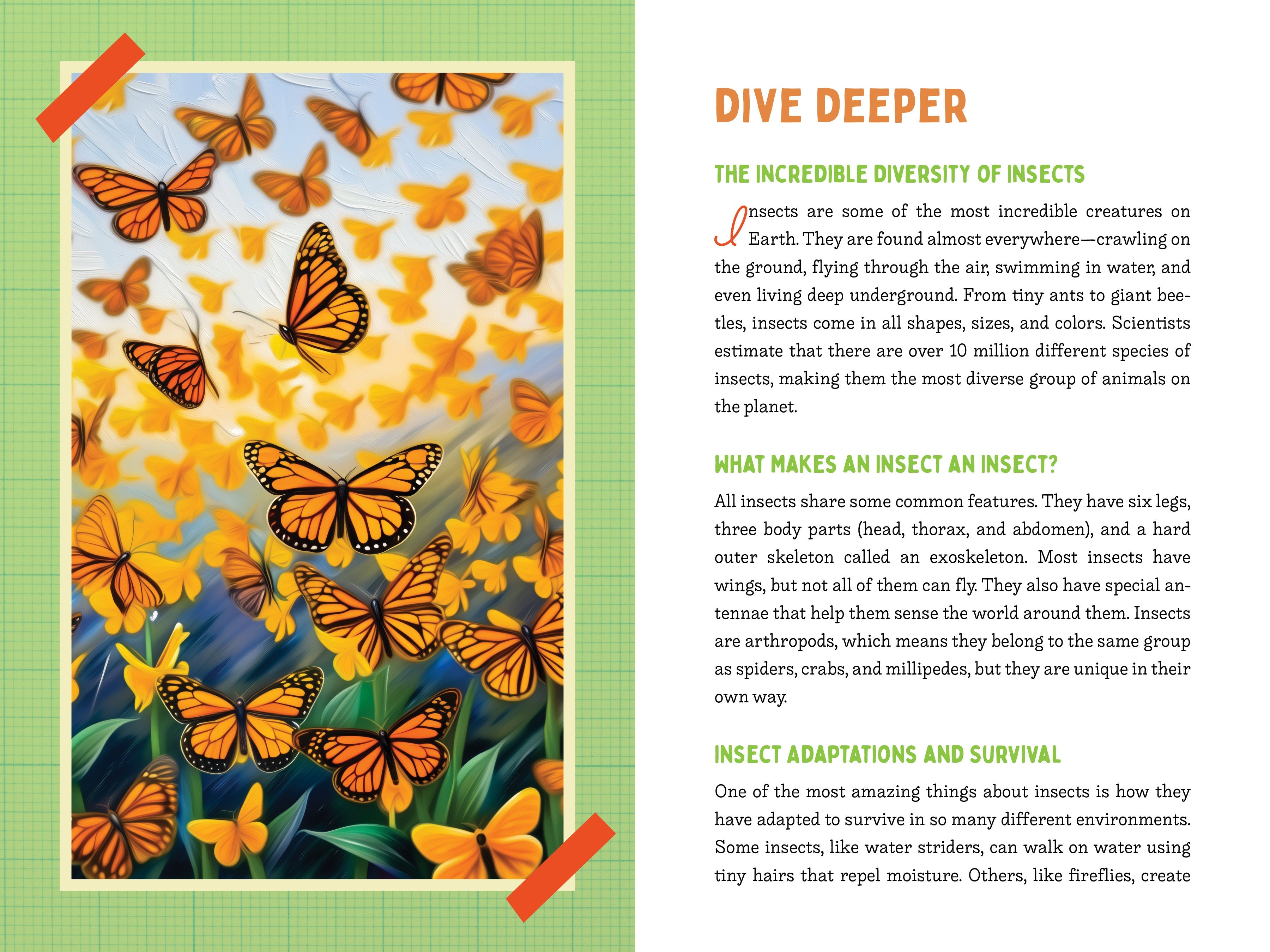 A Kid’s Guide to 50 Insects