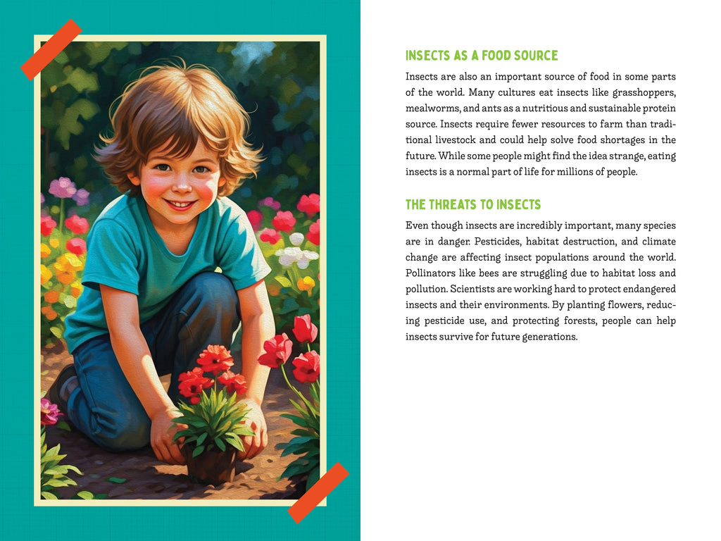 A Kid’s Guide to 50 Insects