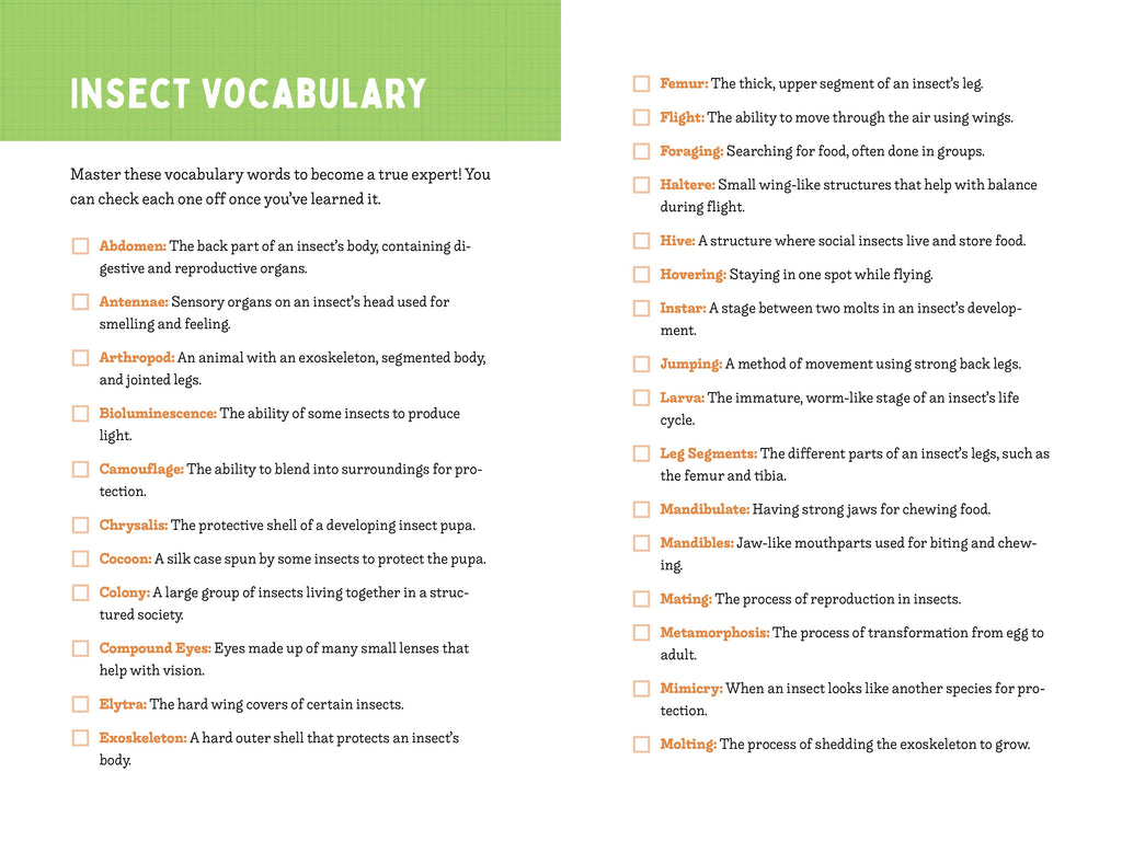 A Kid’s Guide to 50 Insects