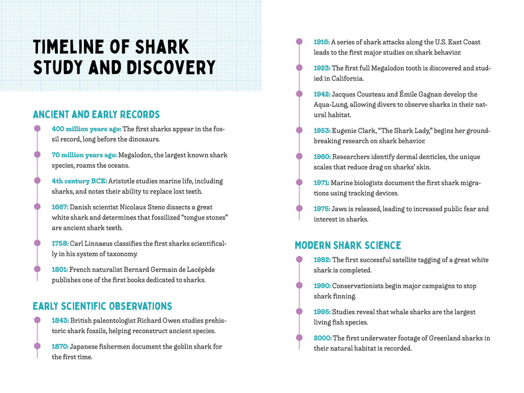 50 Sharks for Kids!