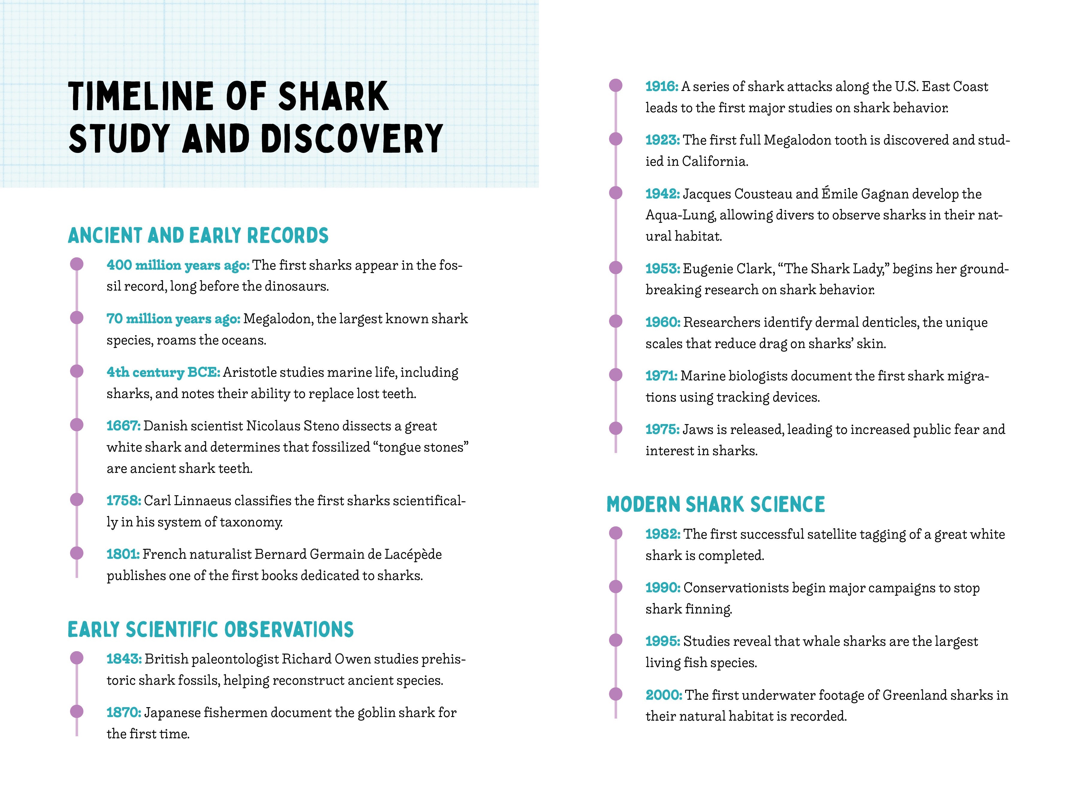 50 Sharks for Kids!