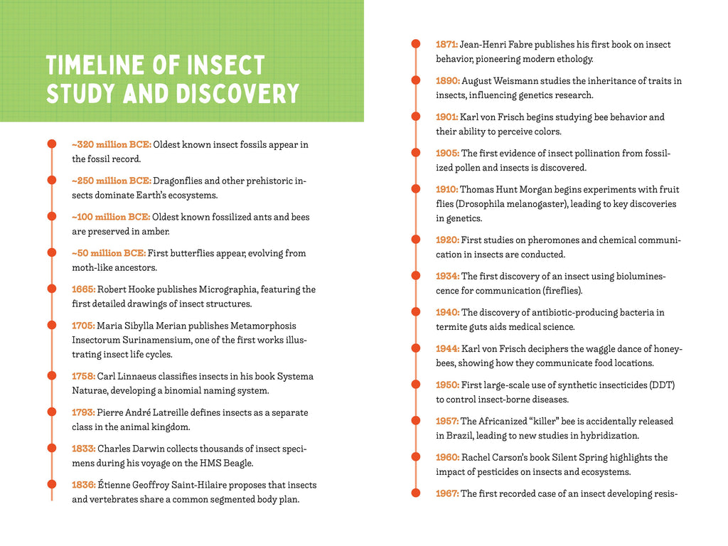 A Kid’s Guide to 50 Insects