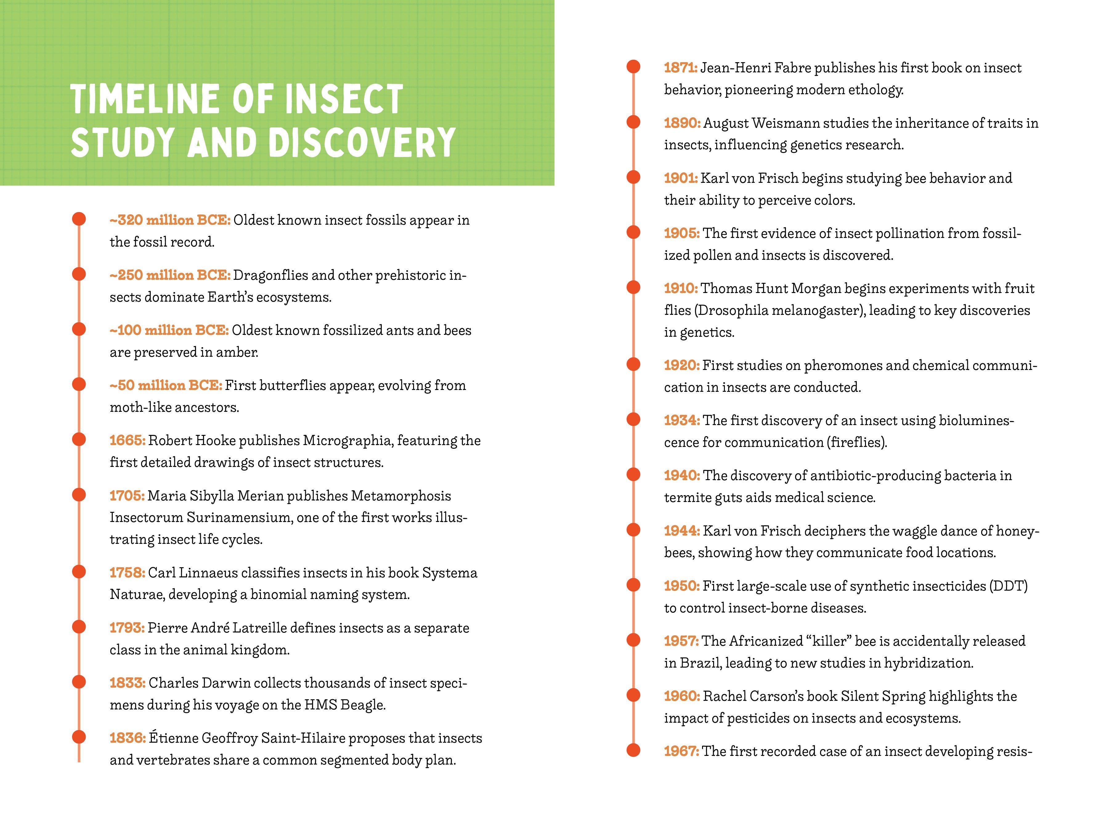 A Kid’s Guide to 50 Insects