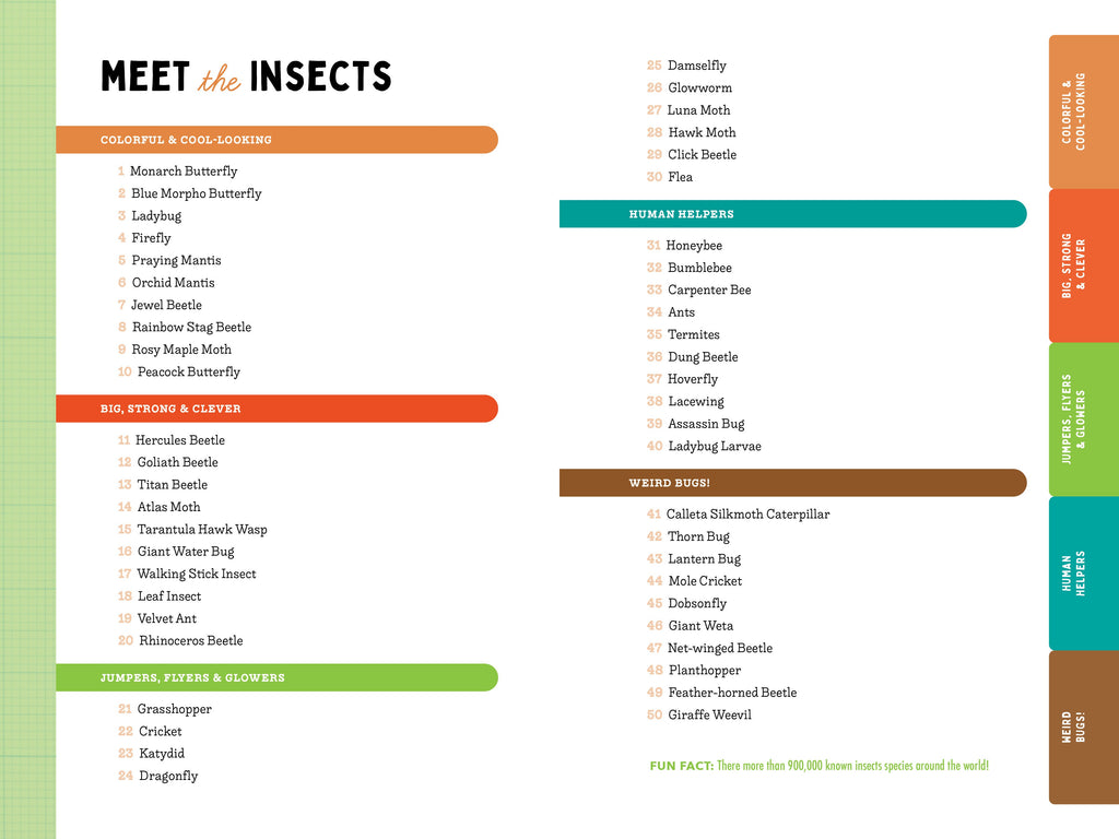 A Kid’s Guide to 50 Insects