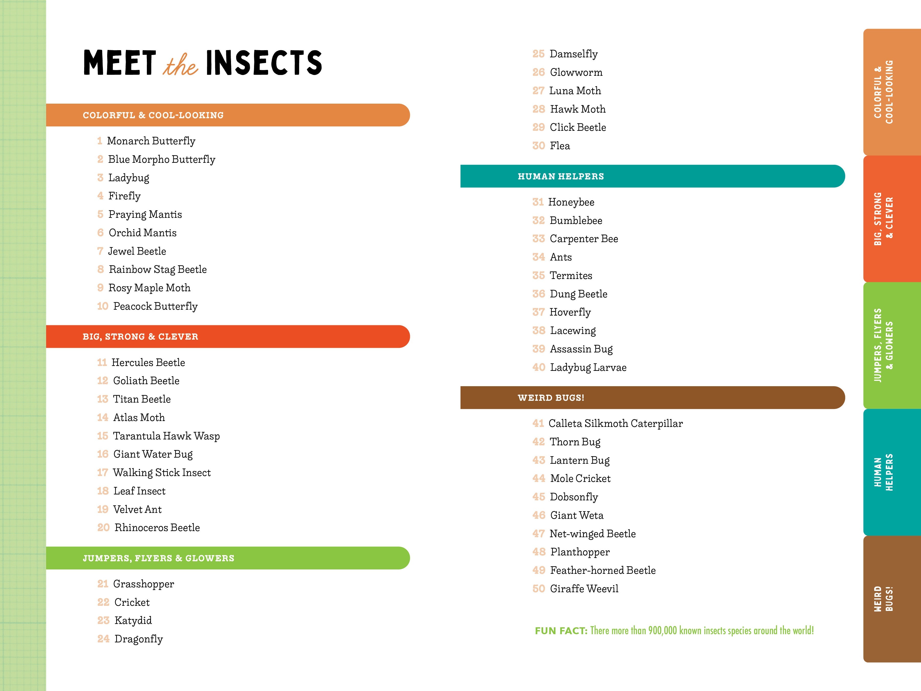 A Kid’s Guide to 50 Insects