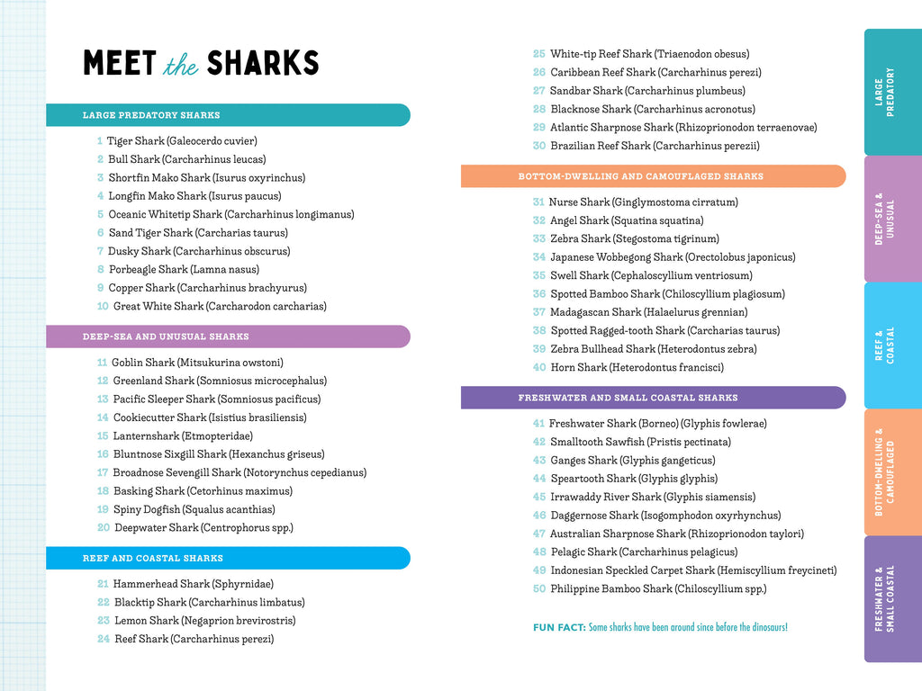 50 Sharks for Kids!