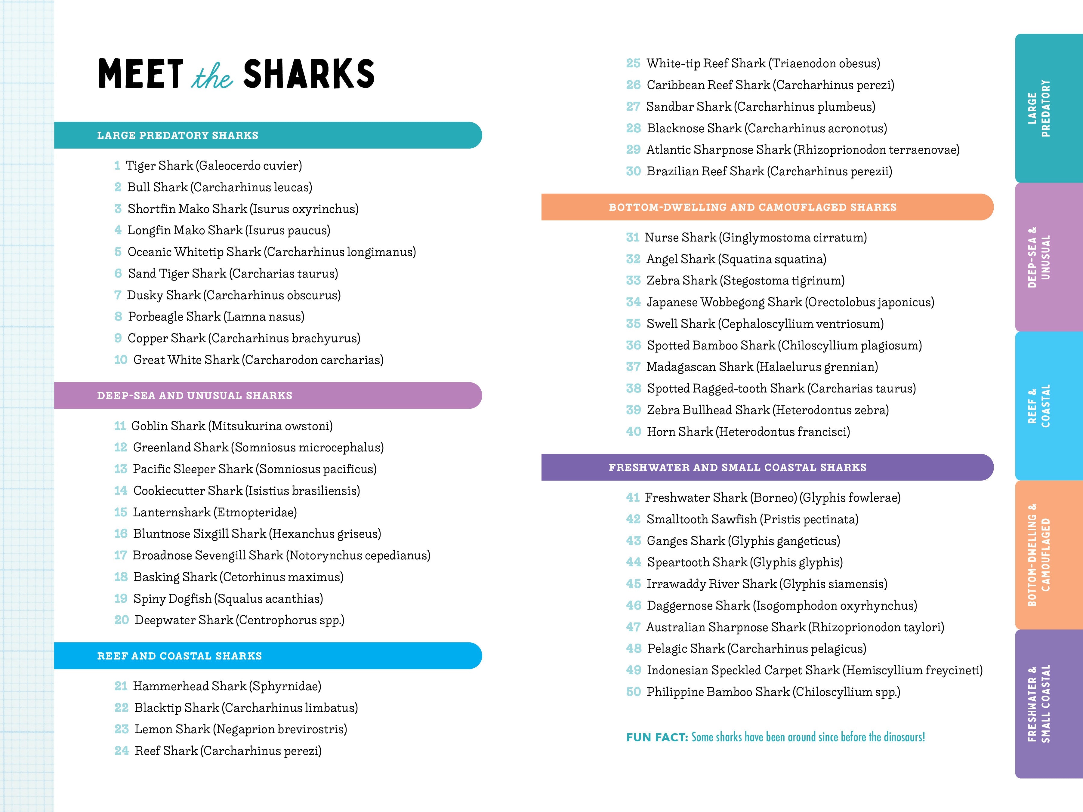 50 Sharks for Kids!