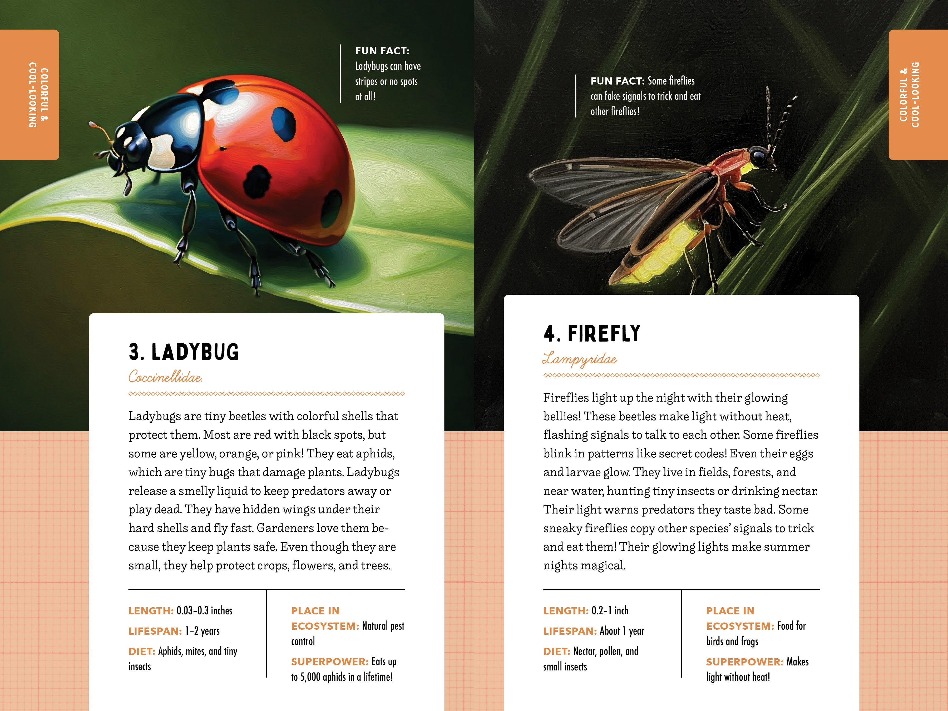 A Kid’s Guide to 50 Insects