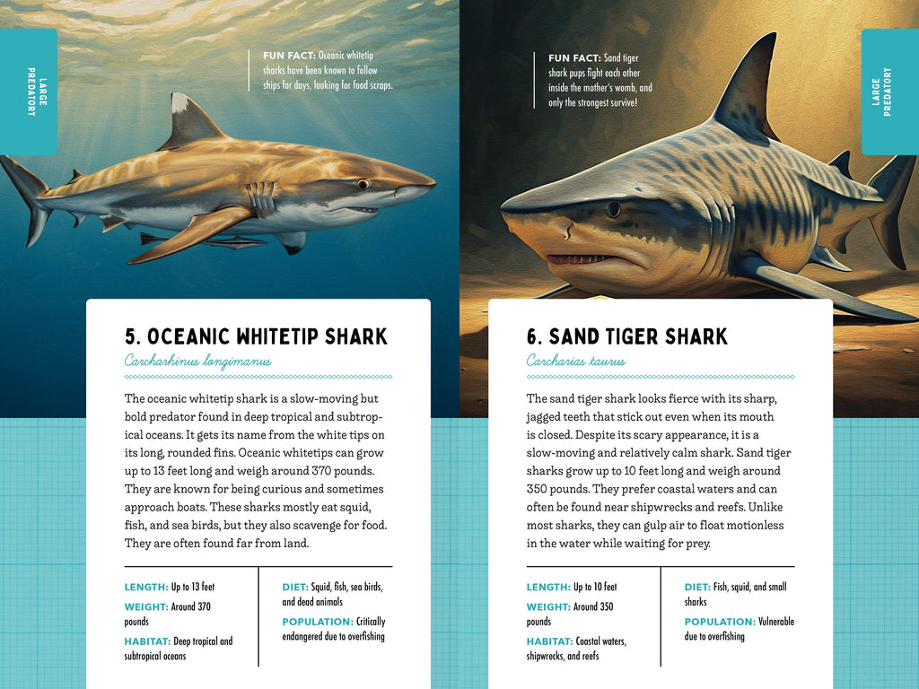 50 Sharks for Kids!