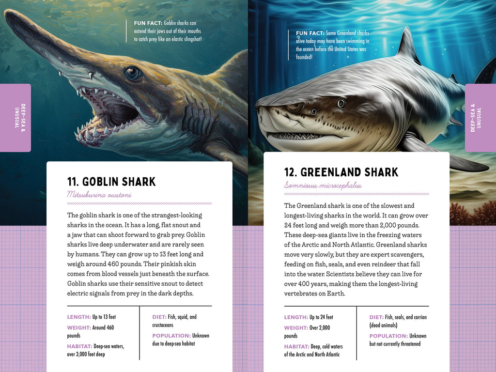 50 Sharks for Kids!