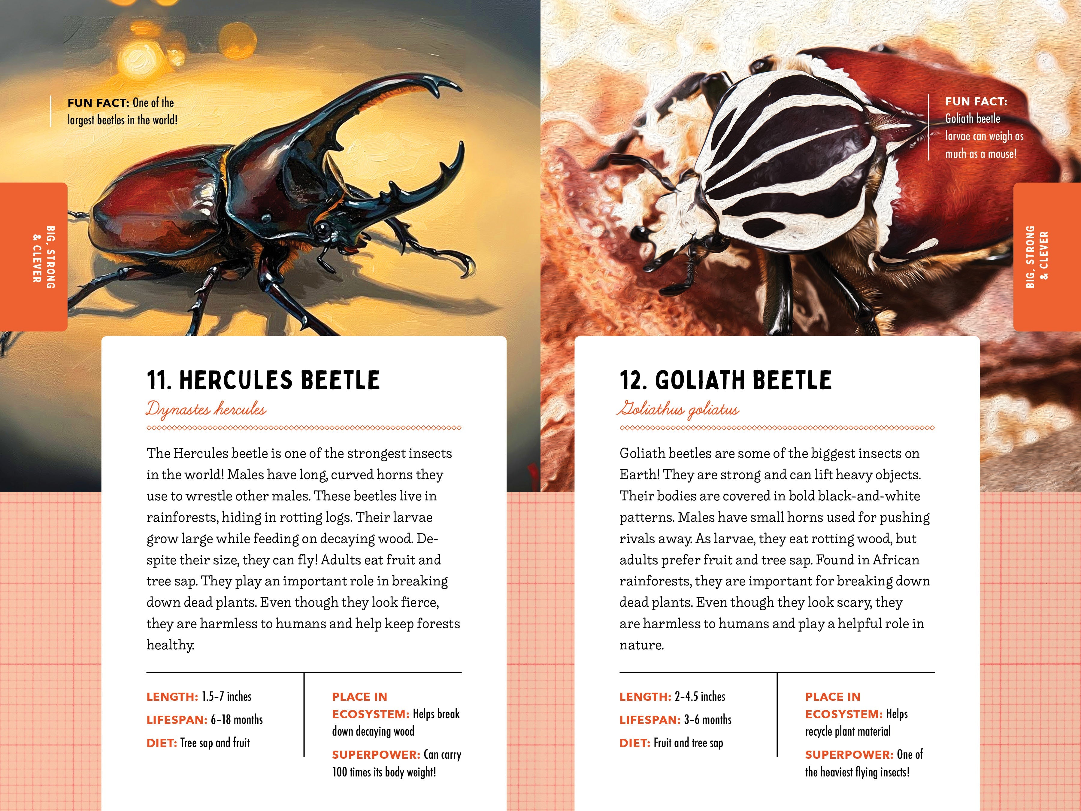 A Kid’s Guide to 50 Insects