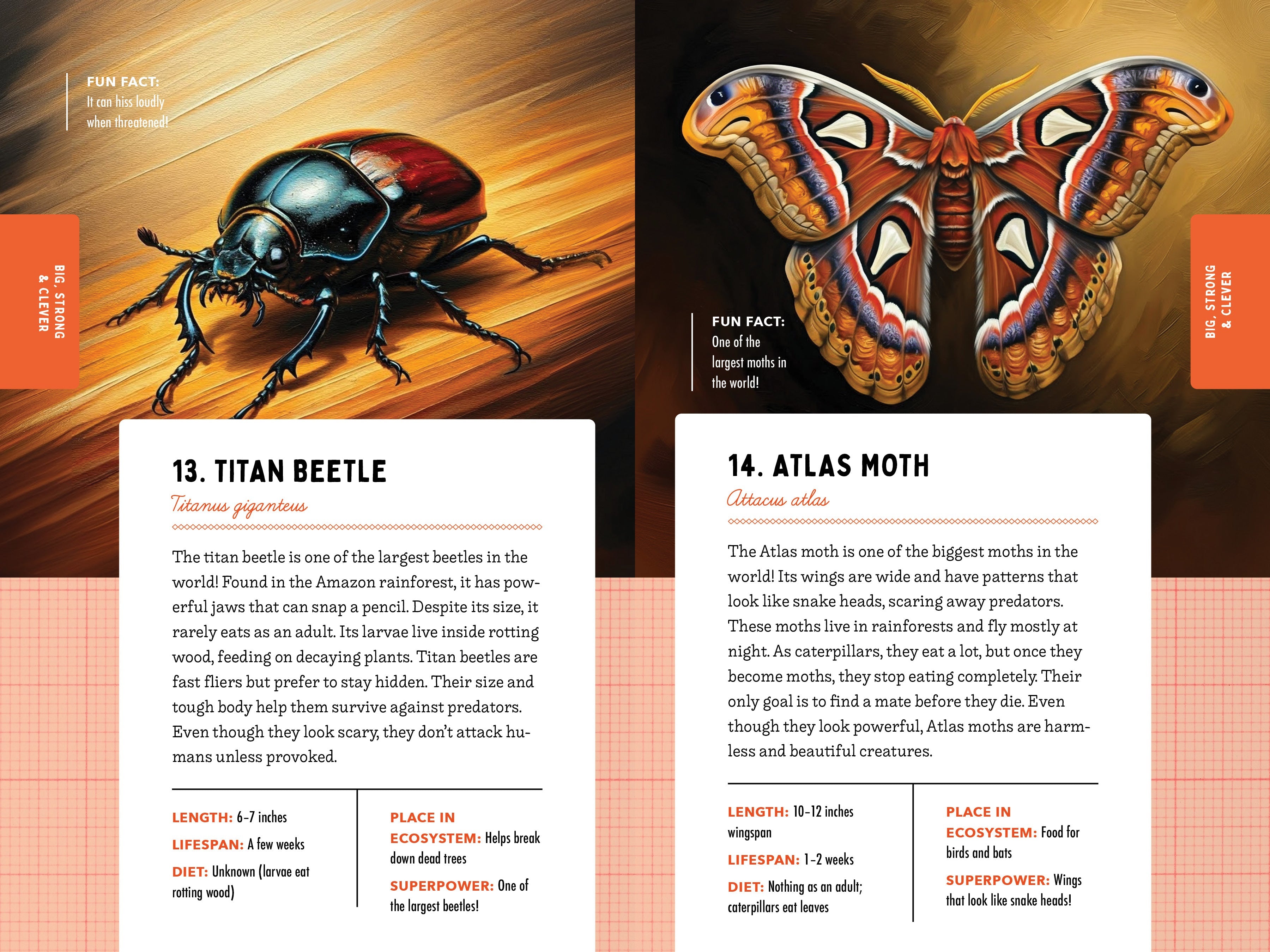 A Kid’s Guide to 50 Insects