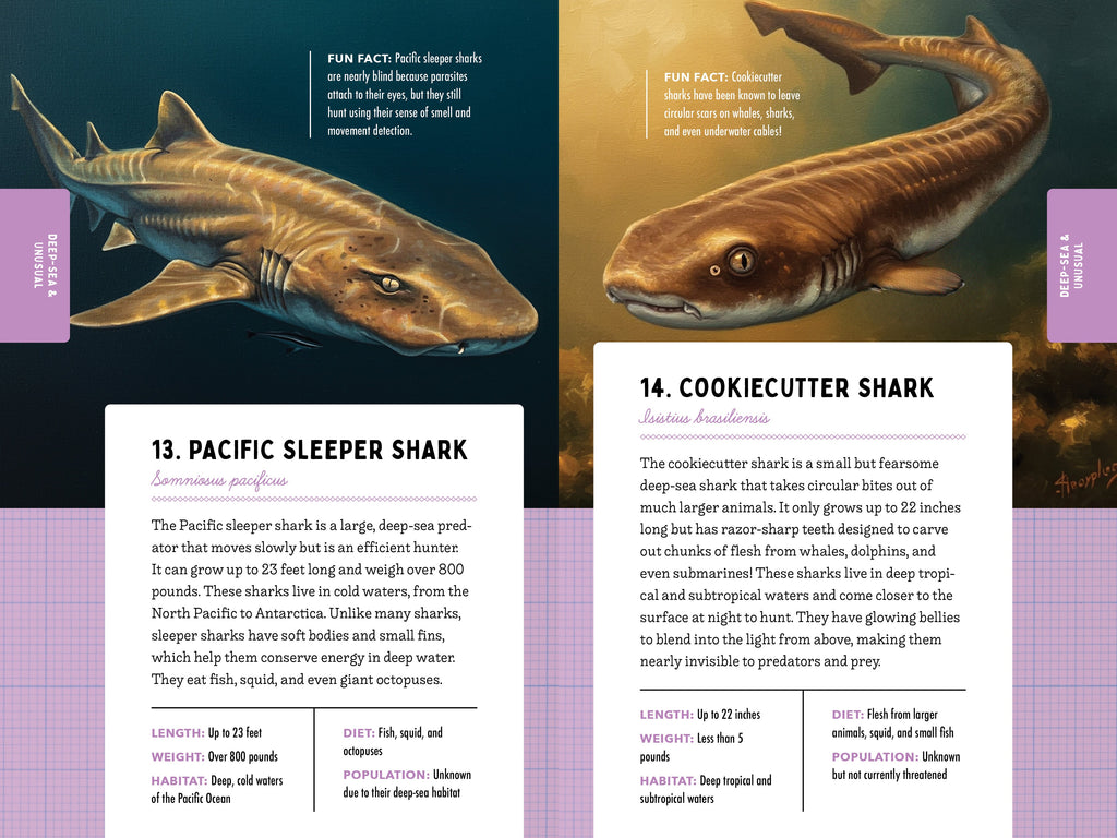 50 Sharks for Kids!