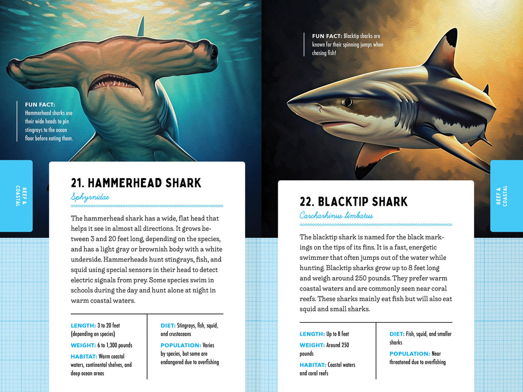 50 Sharks for Kids!