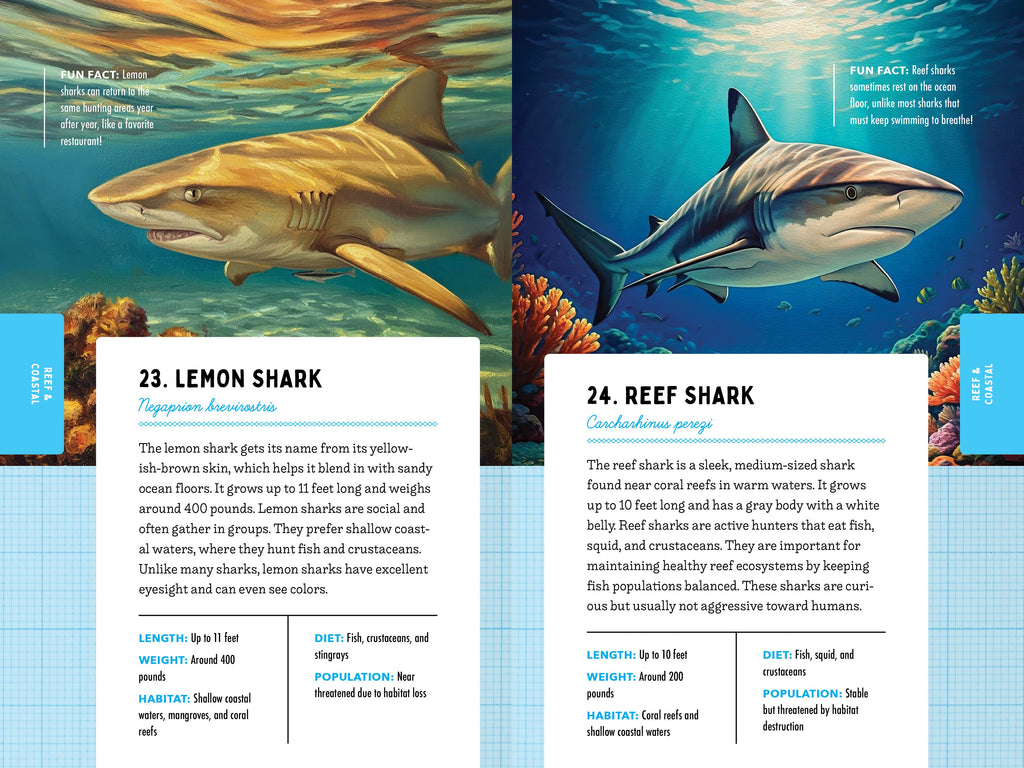 50 Sharks for Kids!