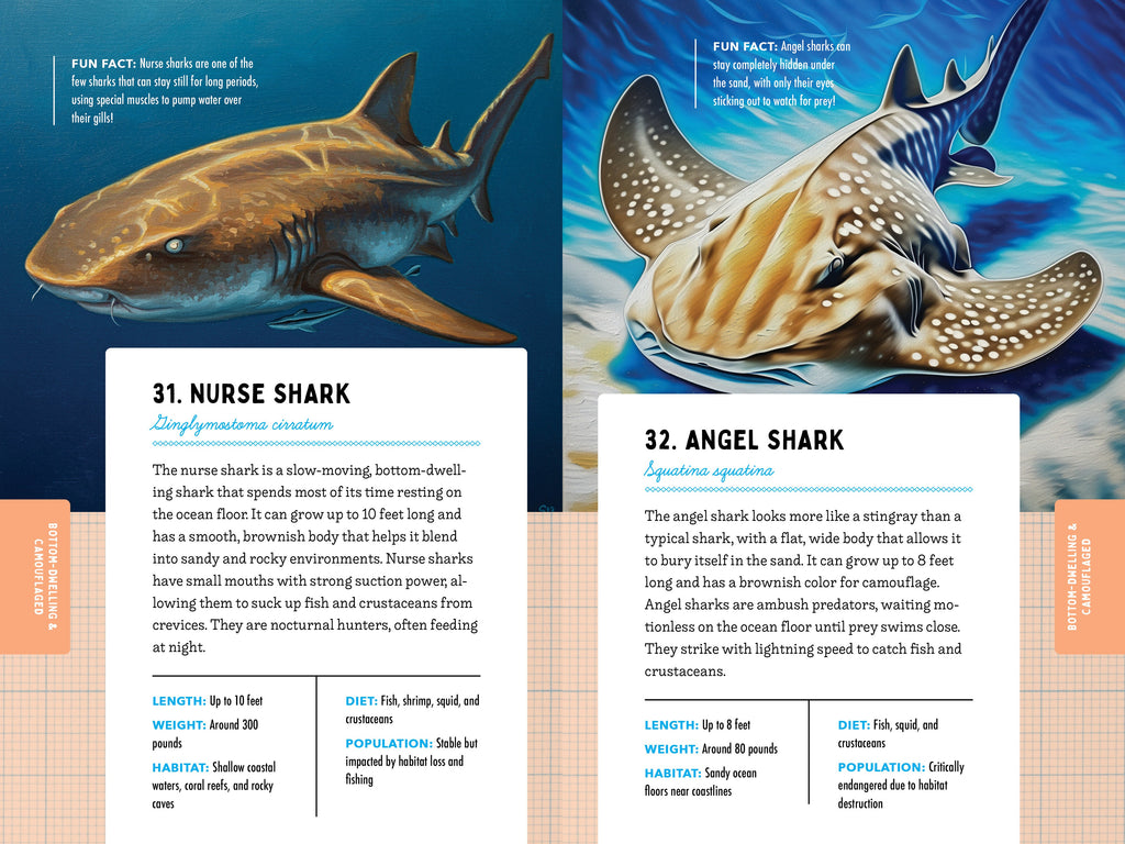 50 Sharks for Kids!