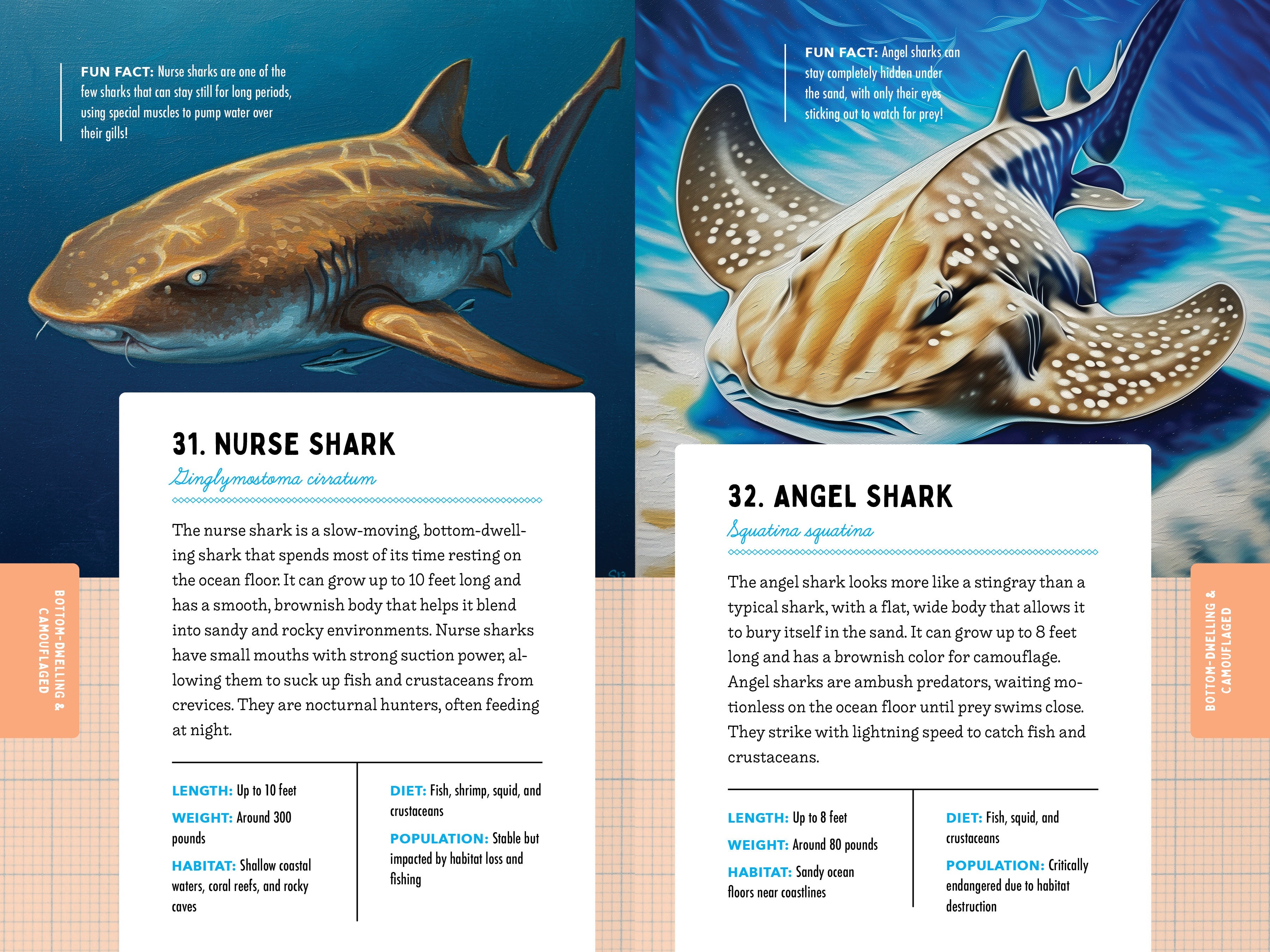 50 Sharks for Kids!