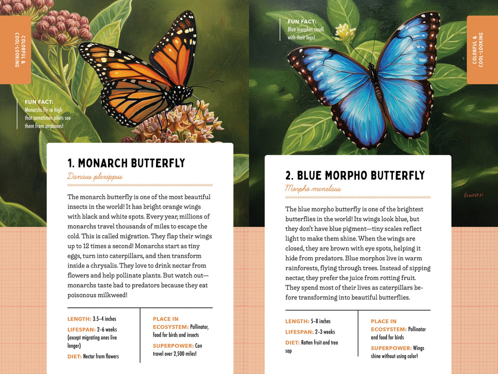 A Kid’s Guide to 50 Insects