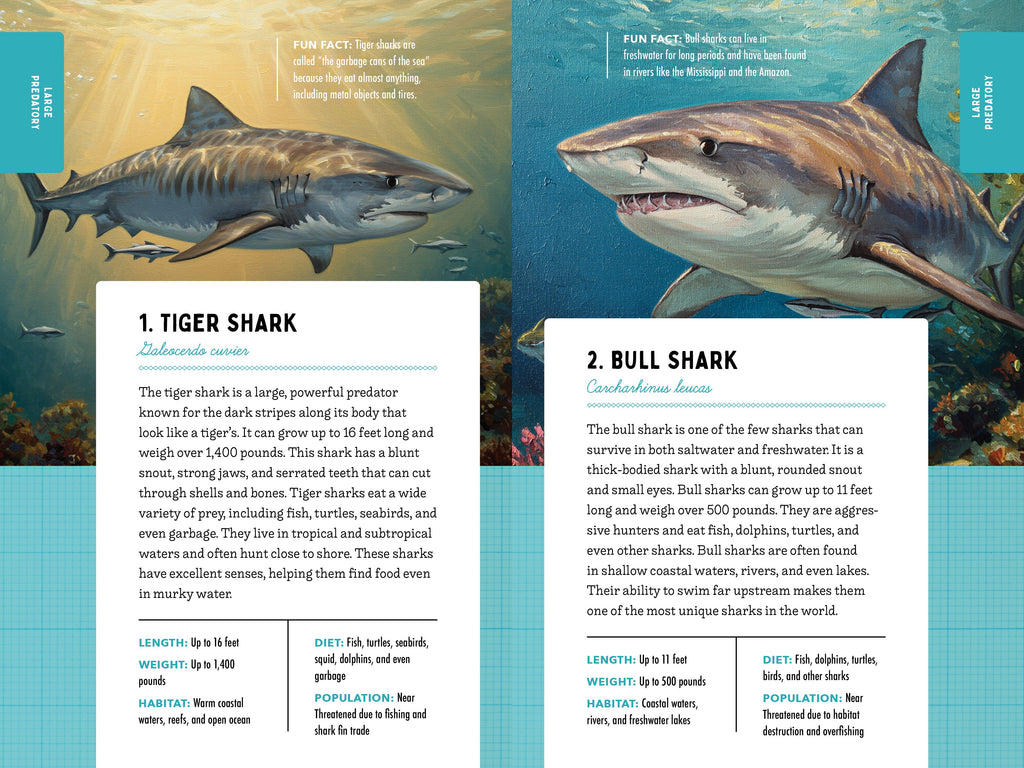 50 Sharks for Kids!