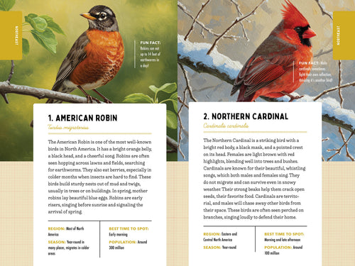 A Kid’s Guide to 50 Backyard Birds