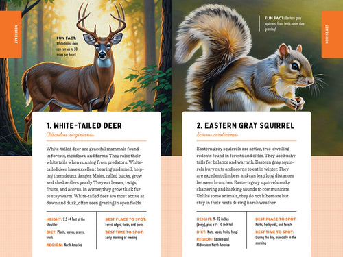 A Kid’s Guide to 50 Backyard Animals