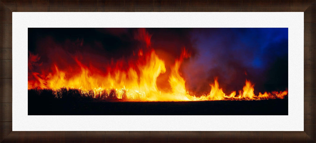 Fire Dance