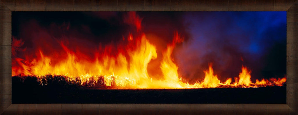 Fire Dance