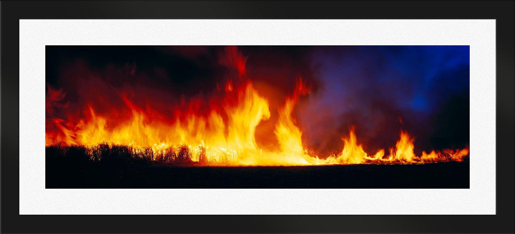 Fire Dance