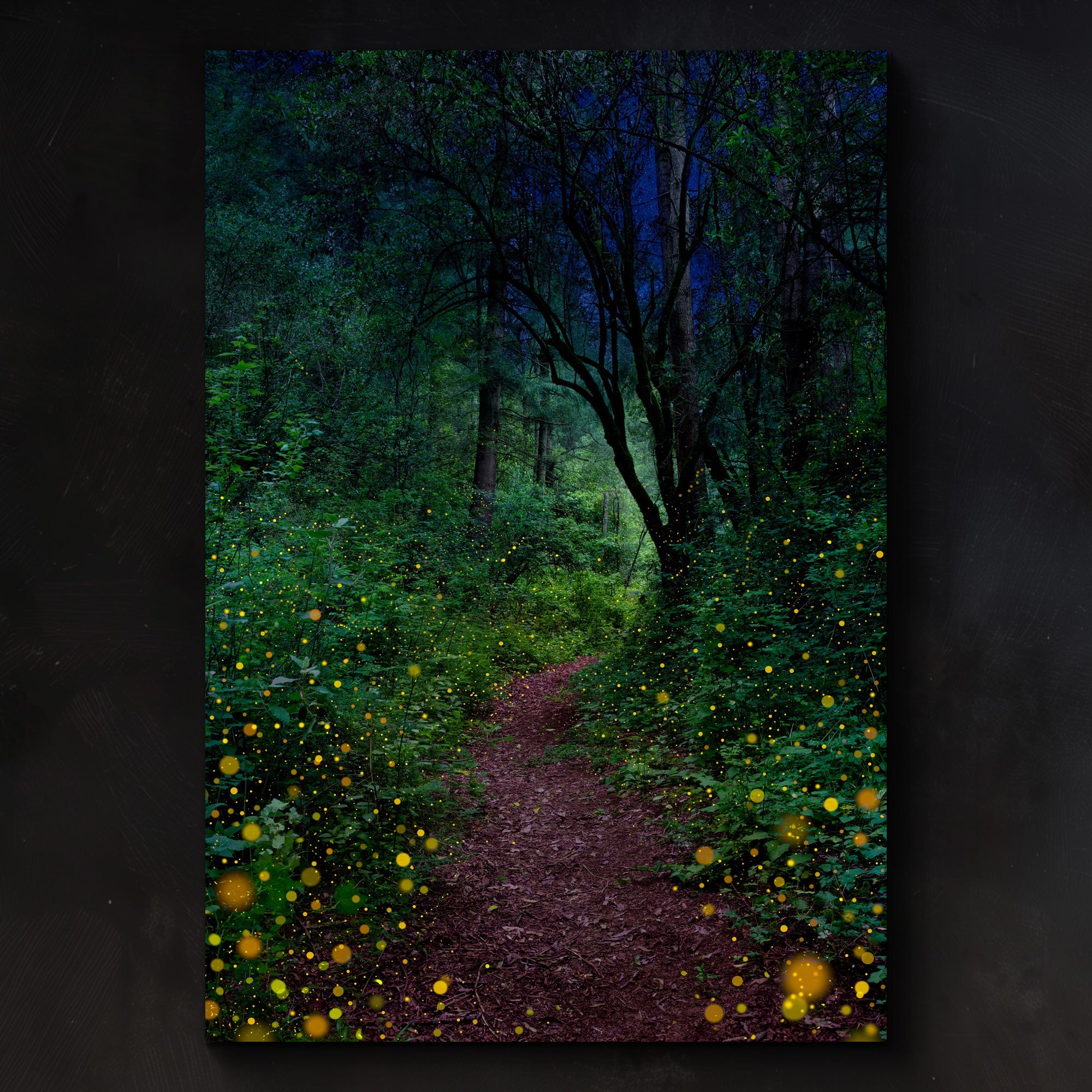 Firefly Nights